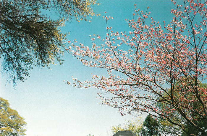 pov_01_022