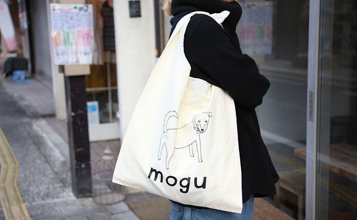 今更ですが、はじめまして。ノストスブックスの看板犬、モグーを紹介します!