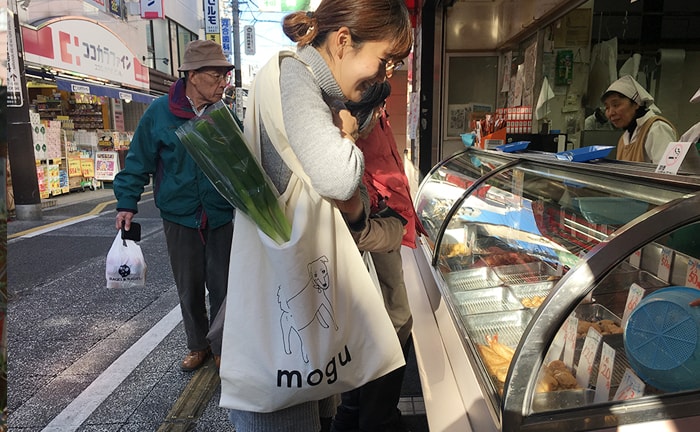今更ですが、はじめまして。ノストスブックスの看板犬、モグーを紹介します!