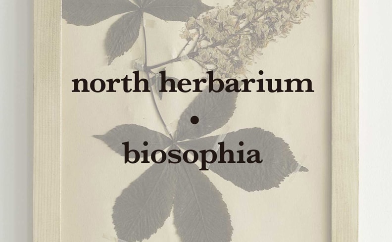 植物標本展「north herbarium・biosophia」開催。東京と根室、ふたつの「東」から考えるこれからの暮らし。
