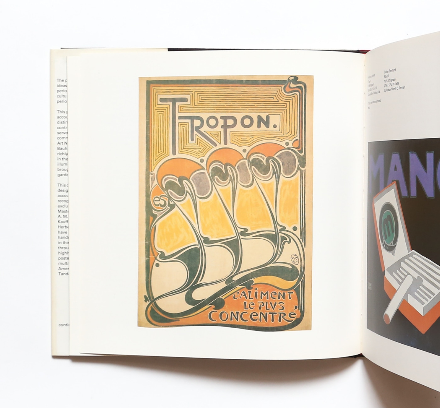The 20th Century Poster: Design of the Avant- Garde | Dawn Ades