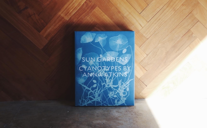植物学者、アナ・アトキンスが魅せる幽玄な青写真の世界