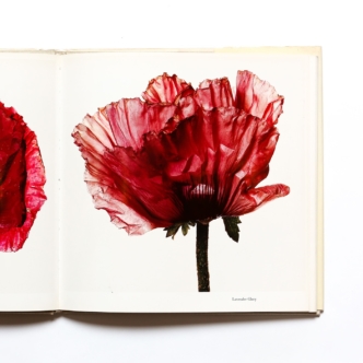 Flowers | Irving Penn アーヴィング・ペン 写真集 | nostos books 