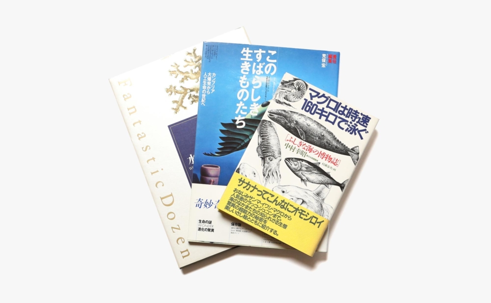 奇妙奇天烈 素晴らしき海中生物のワンダフルライフ 3冊セット Nostos Books ノストスブックス