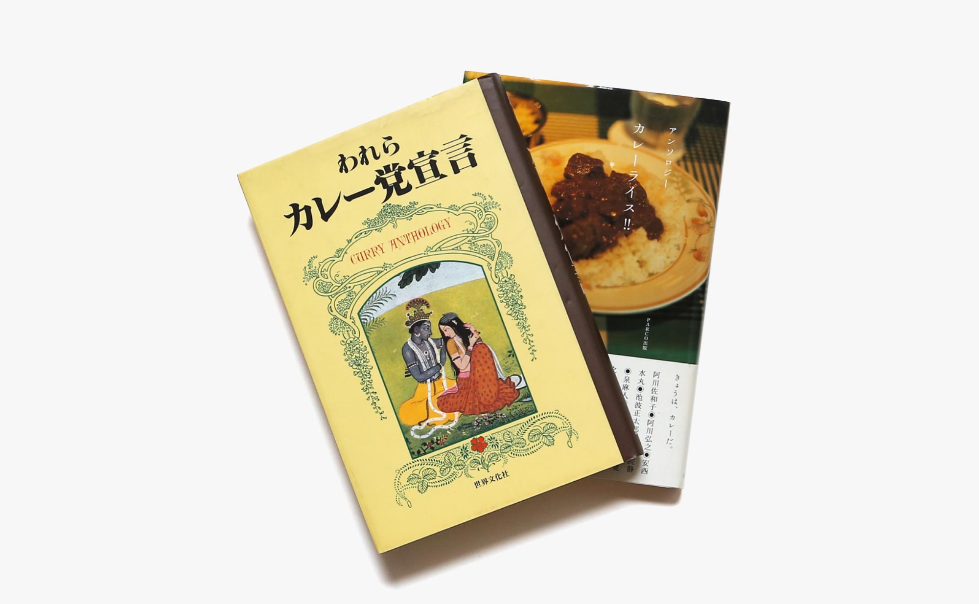 あぁ今日はカレーにしよう 明日もカレーでいいよね 2冊セット Nostos Books ノストスブックス