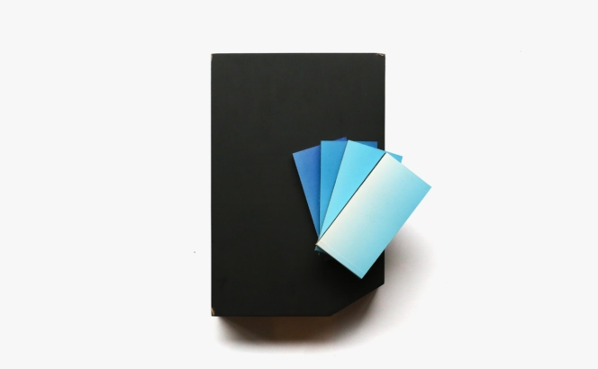Visionaire 39: Play | SONY ソニー