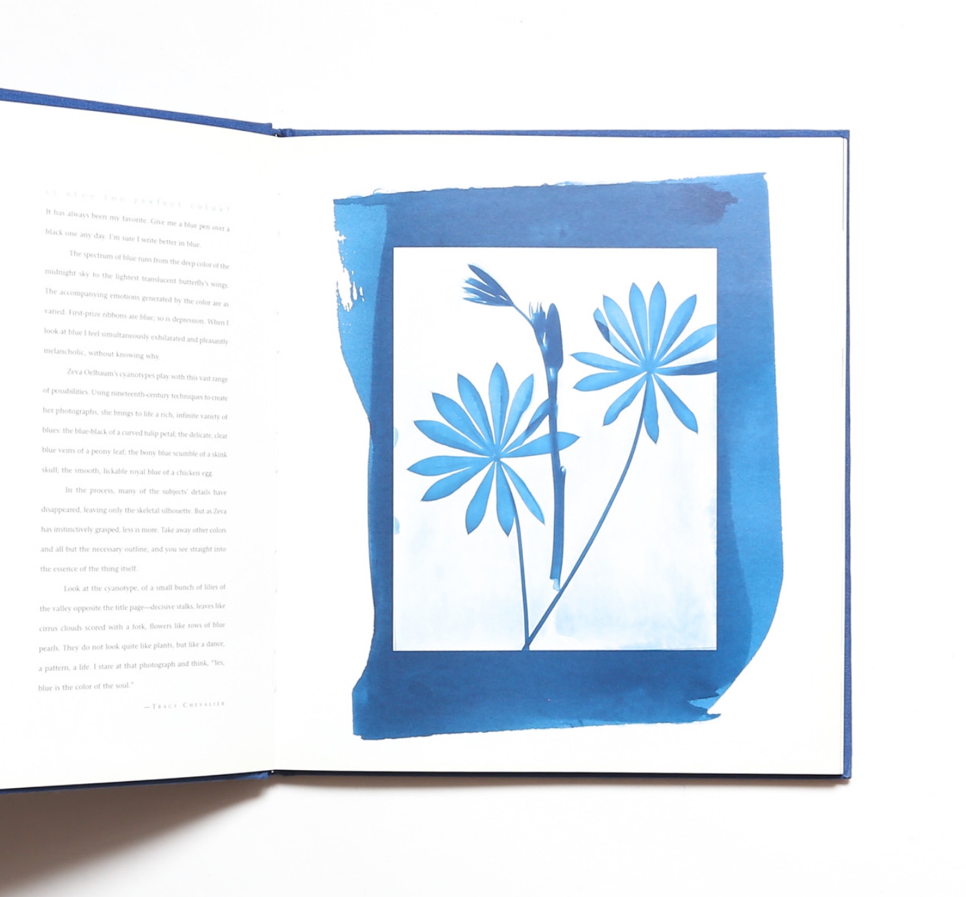 写真集写真集『BLUE PRINTS』Zeva Oelbaum 希少 絶版 古書