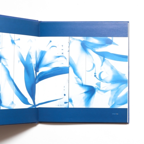 Blue Prints: The Natural World In Cyanotype Photos