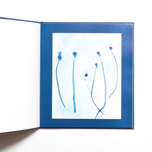 公式の店舗 洋書写真集 サイアノタイプ Prints Blue Oelbaum Zeva 植物 