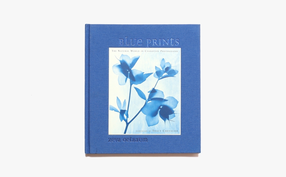 Blue Prints: The Natural World In Cyanotype Photos | Zeva Oelbaum ゼヴァ・オエルバム