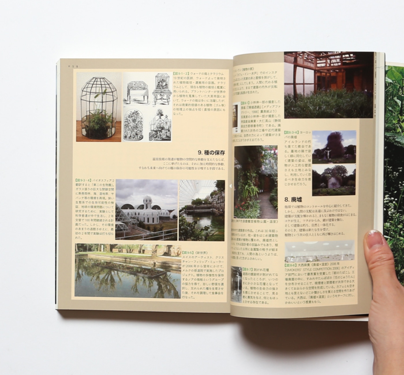 建築と植物 | 五十嵐太郎 | nostos books ノストスブックス