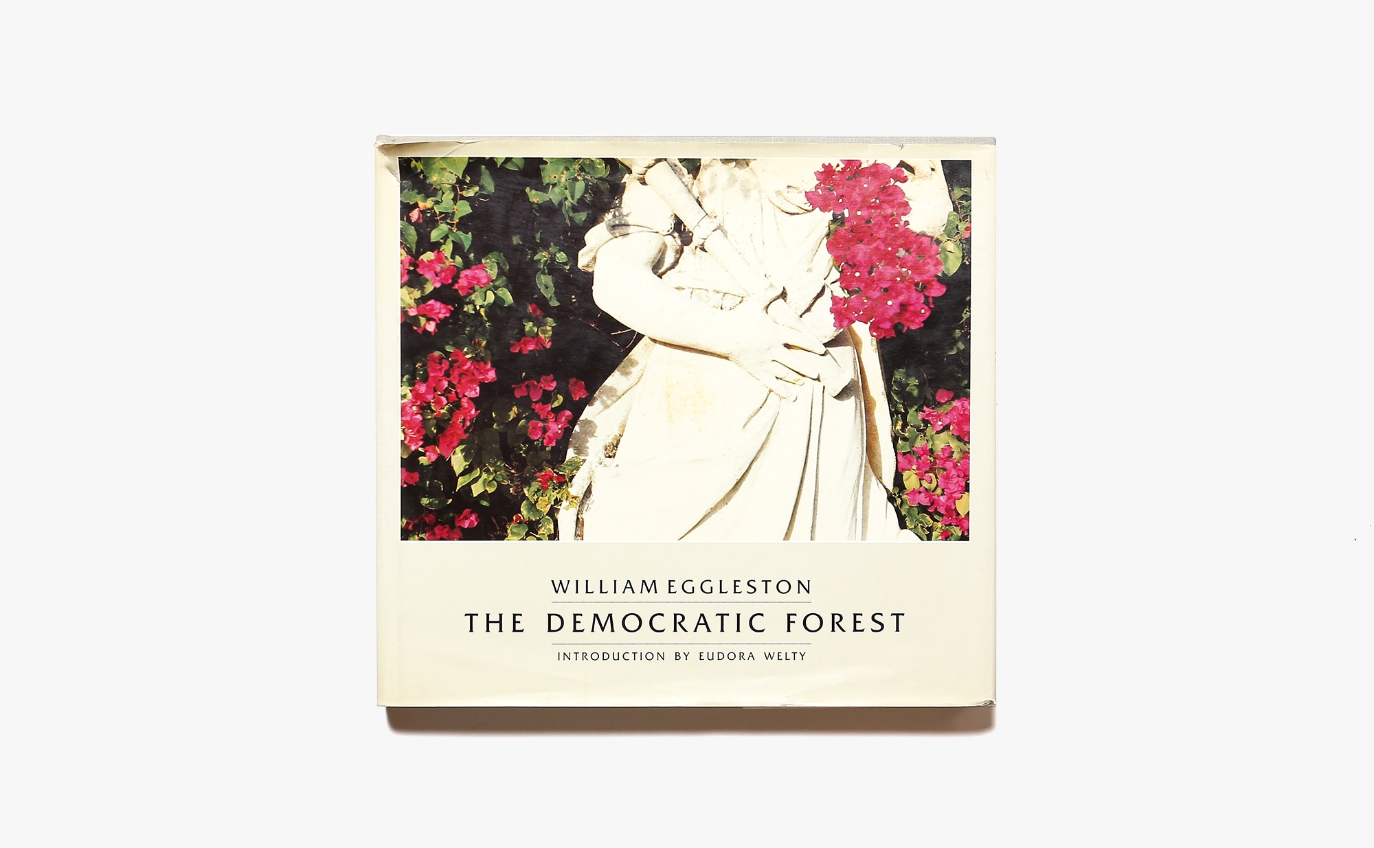 The Democratic Forest | William Eggleston ウィリアム・エグルストン 写真集