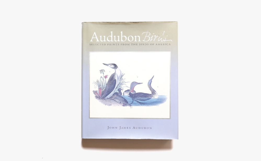 Audubon Birds Selected Prints From The Birds Of America John James Audubon ジョン ジェームズ オーデュボン Nostos Books ノストスブックス