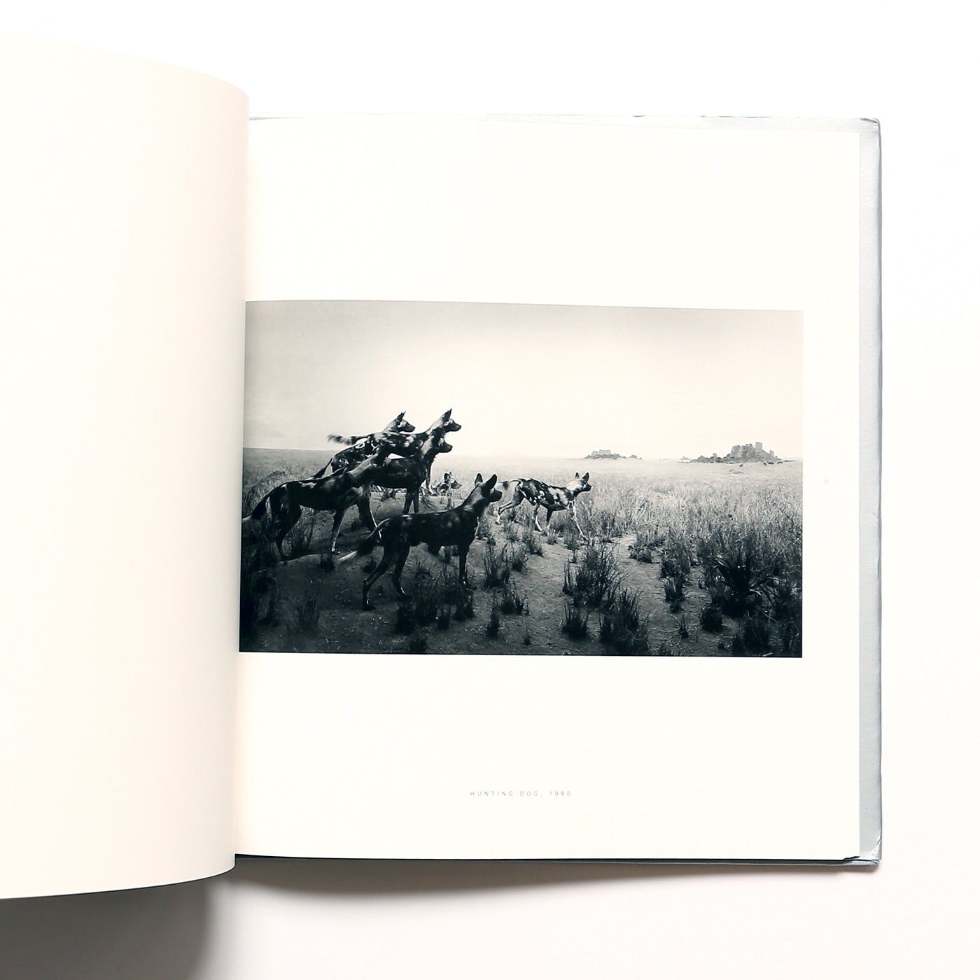 Dioramas | Hiroshi Sugimoto 杉本博司 写真集 | nostos books ノスト