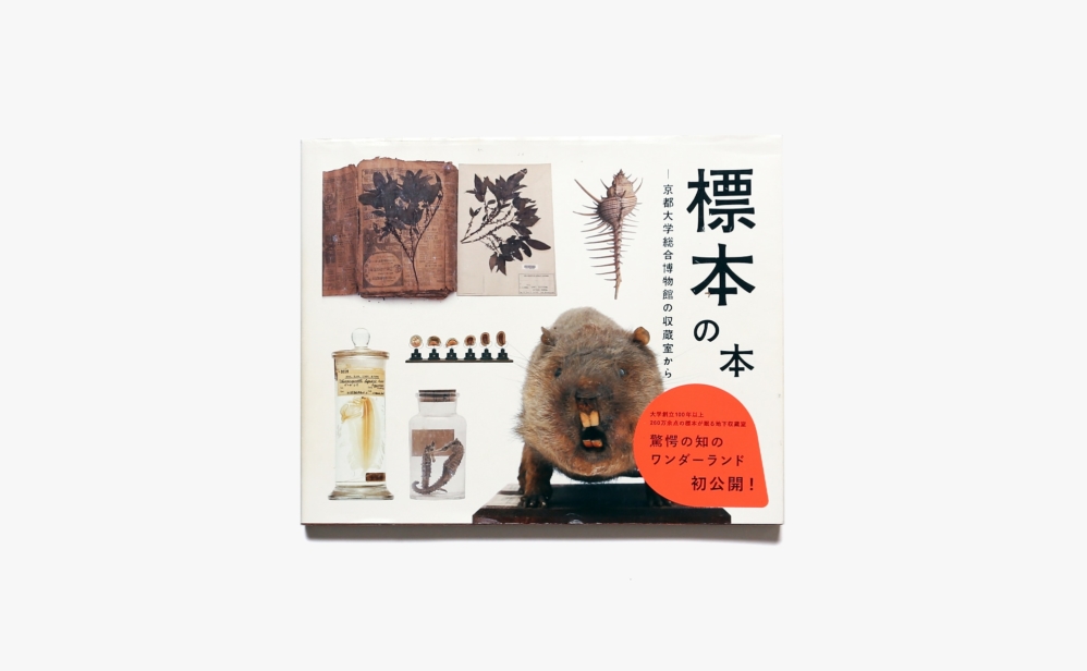 標本の本 京都大学総合博物館の収蔵室から | 伊藤存、村松美賀子