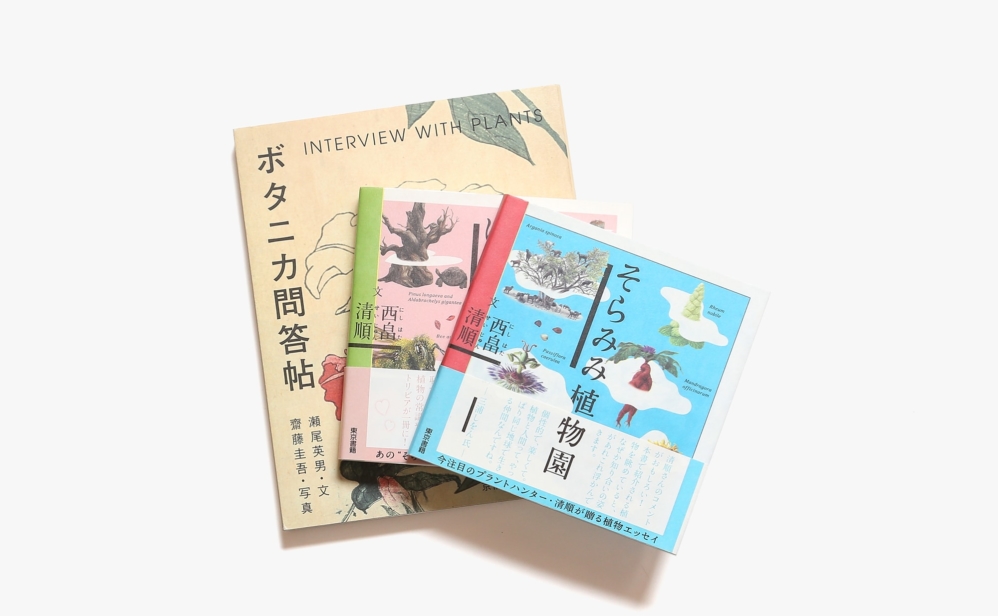 草木のささやきに耳をかたむける 風変わりな植物の本 3冊セット Nostos Books ノストスブックス