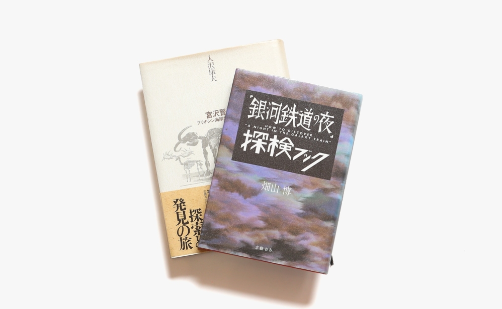 深い淵のような暗がり 得体のしれない美しさに身を任せる 宮沢賢治の本 2冊セット Nostos Books ノストスブックス