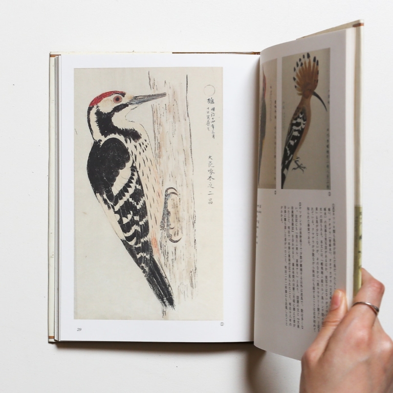 博物図譜ライブラリー 2 鳥獣虫魚譜：松森胤保「両羽博物図譜の世界」