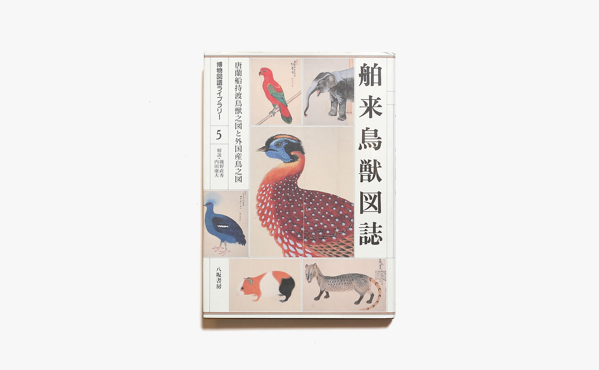 博物図譜ライブラリー 5 舶来鳥獣図誌：唐蘭船持渡鳥獣之図と外国産鳥