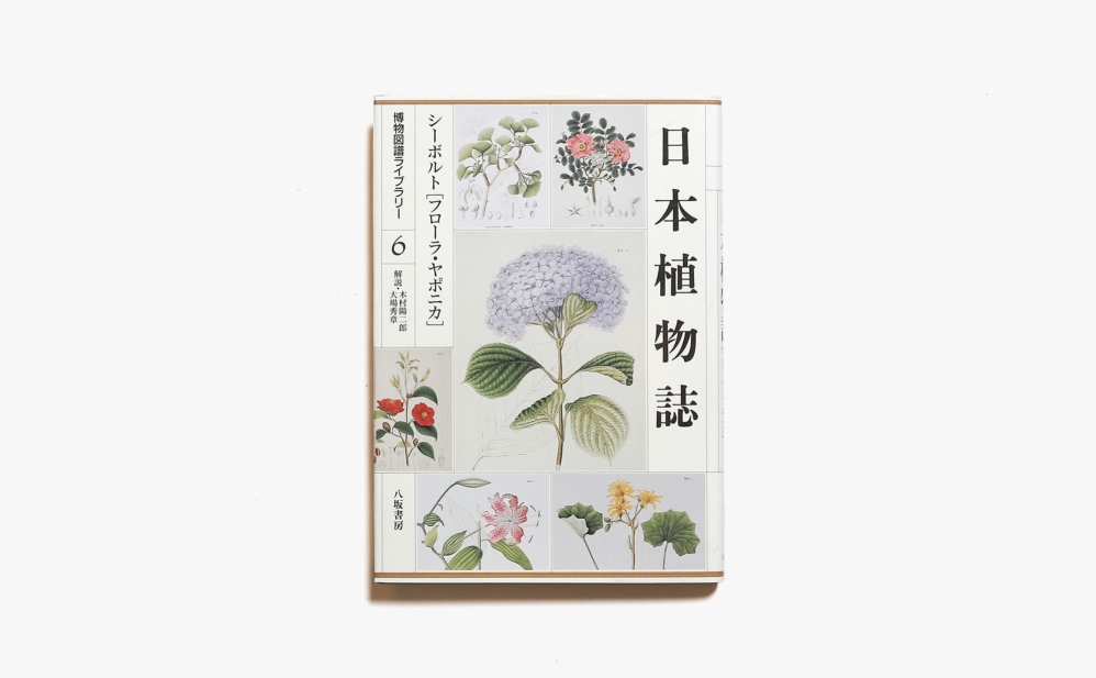 博物図譜ライブラリー 6 日本植物誌：シーボルト「フローラ・ヤポニカ」