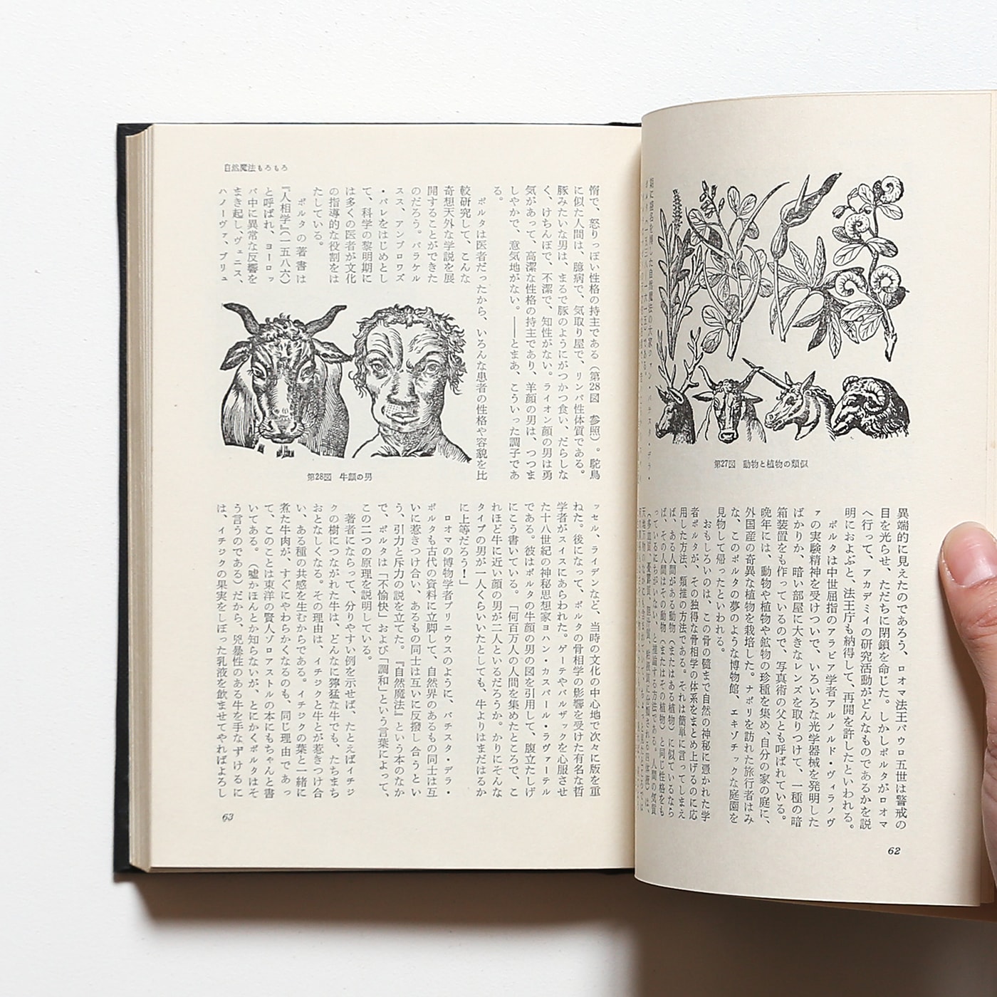 澁澤龍彦 幻想の画廊から - 文学・小説