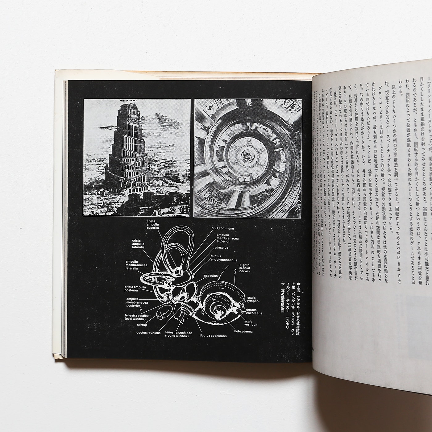 遊びの百科全書 10 迷宮幻想 | 岡本太郎 | nostos books ノストスブックス