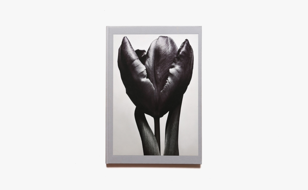 Flowers | Mark Vassallo
