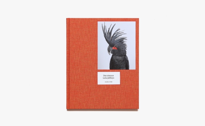 Leila Jeffreys: Des Oiseaux | Guilhem Lesaffre