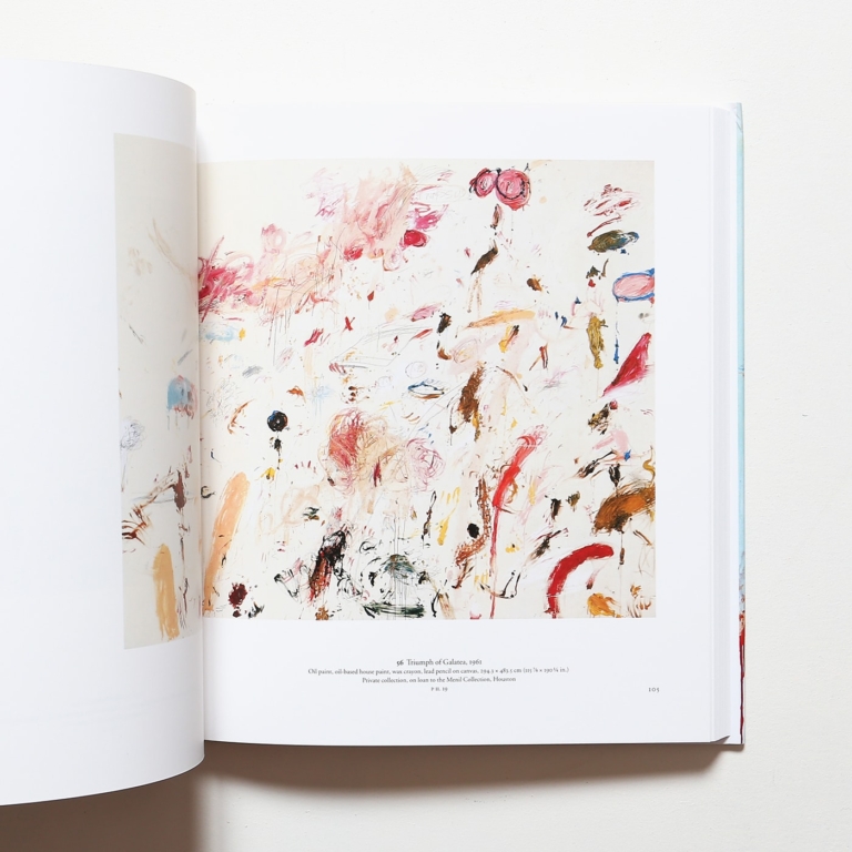 The Essential Cy Twombly | サイ・トゥオンブリー画集 | nostos books