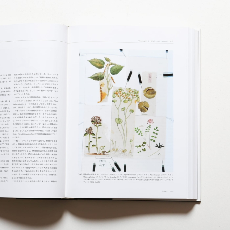 Flora シーボルト日本植物図譜コレクション T A チェルナーヤ Nostos Books ノストスブックス