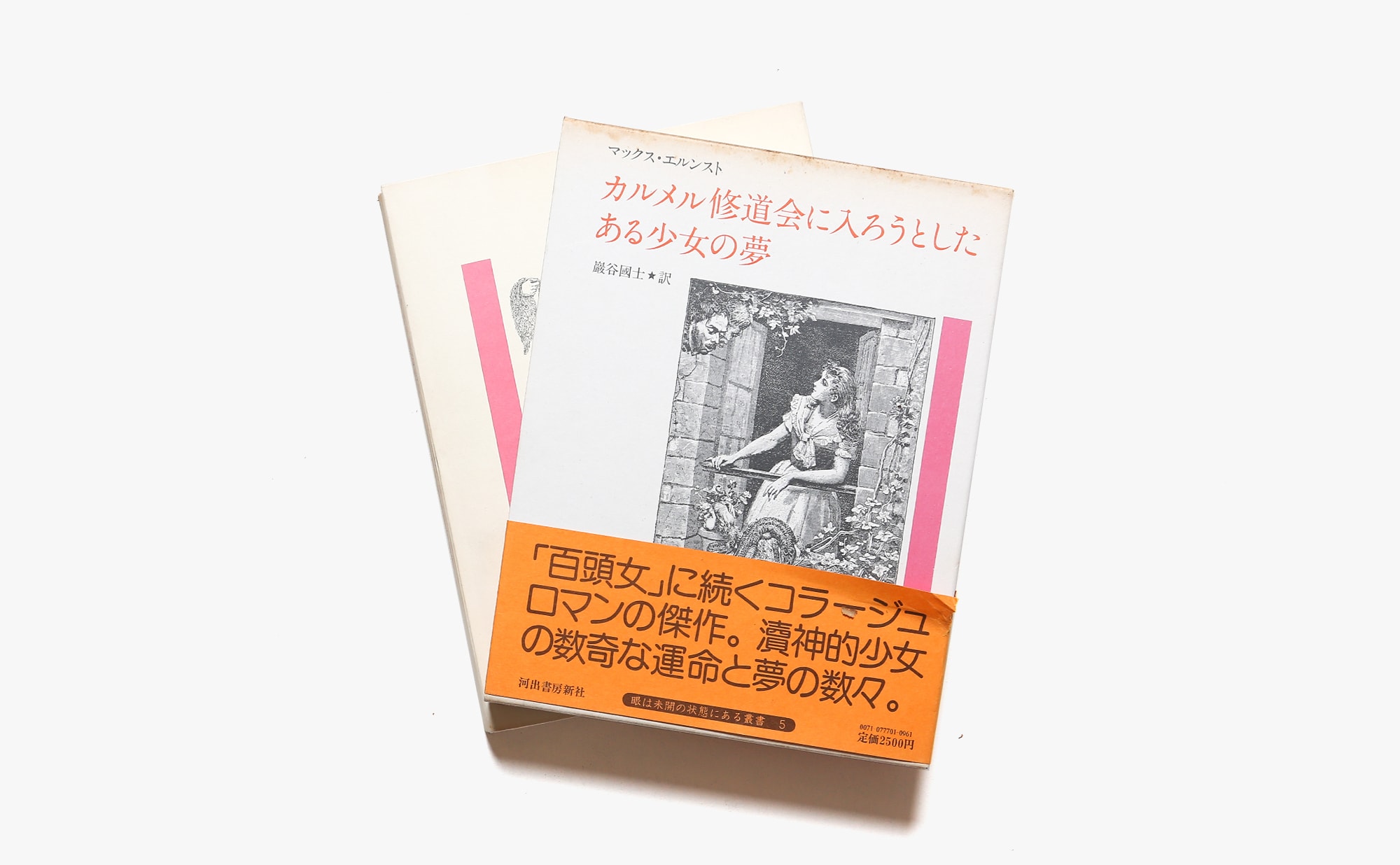 カルメル修道会に入ろうとしたある少女の夢 | マックス・エルンスト、巖谷國士