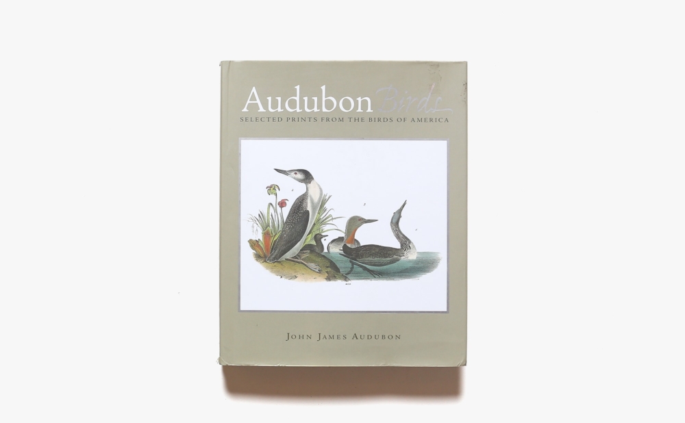Audubon Birds: Selected prints from the birds of America | John James Audubon ジョン・ジェームズ・オーデュボン