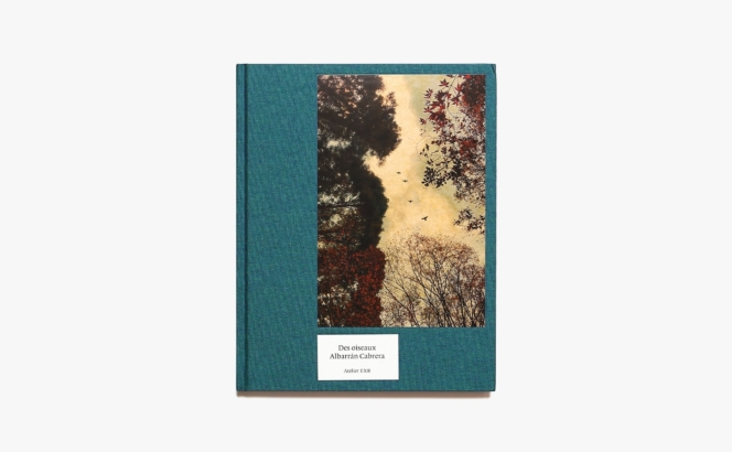 Albarran Cabrera: Des Oiseaux | Guilhem Lesaffre