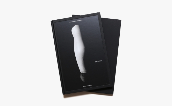 Brancusi | Dan Grigorescu