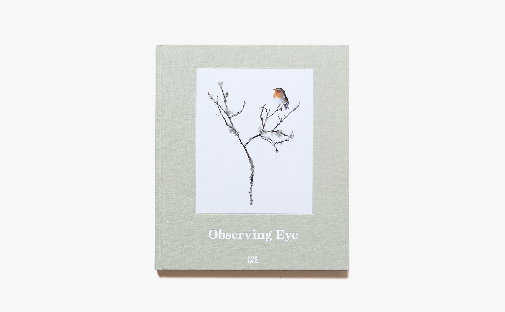 Observing Eye | Sanna Kannisto