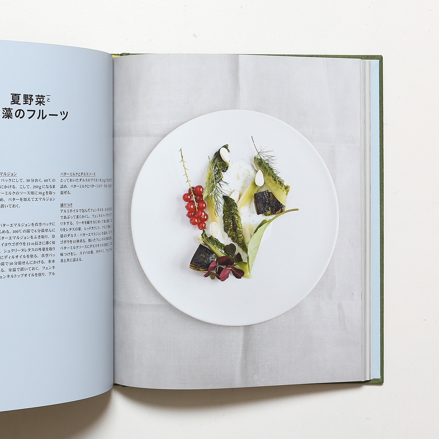 NOMA ─日記、レシピ、写真集 - Phaidon 《英語》 - greenprint.co.mz