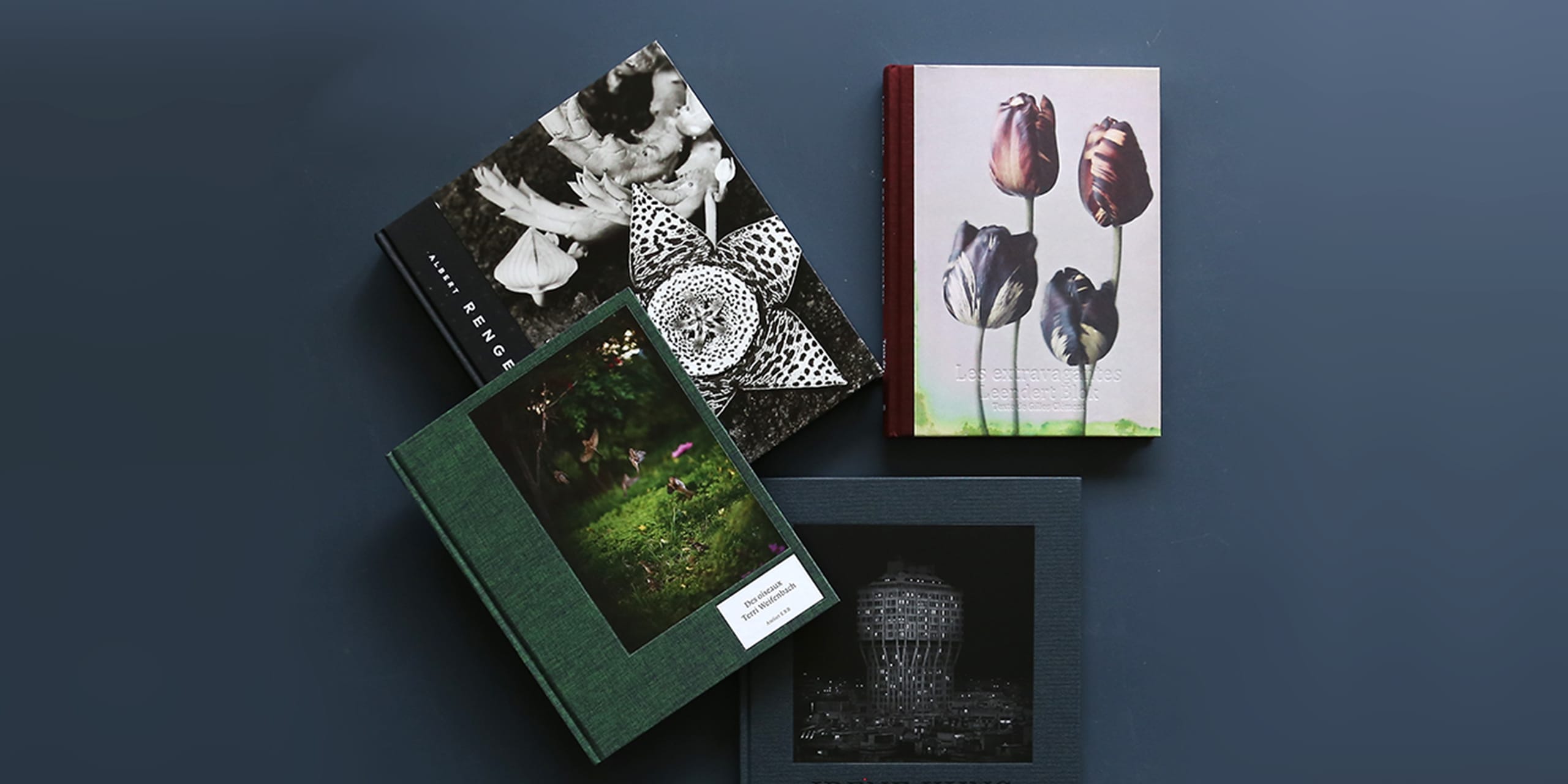 Editions Xavier Barral nostos books ノストスブックス