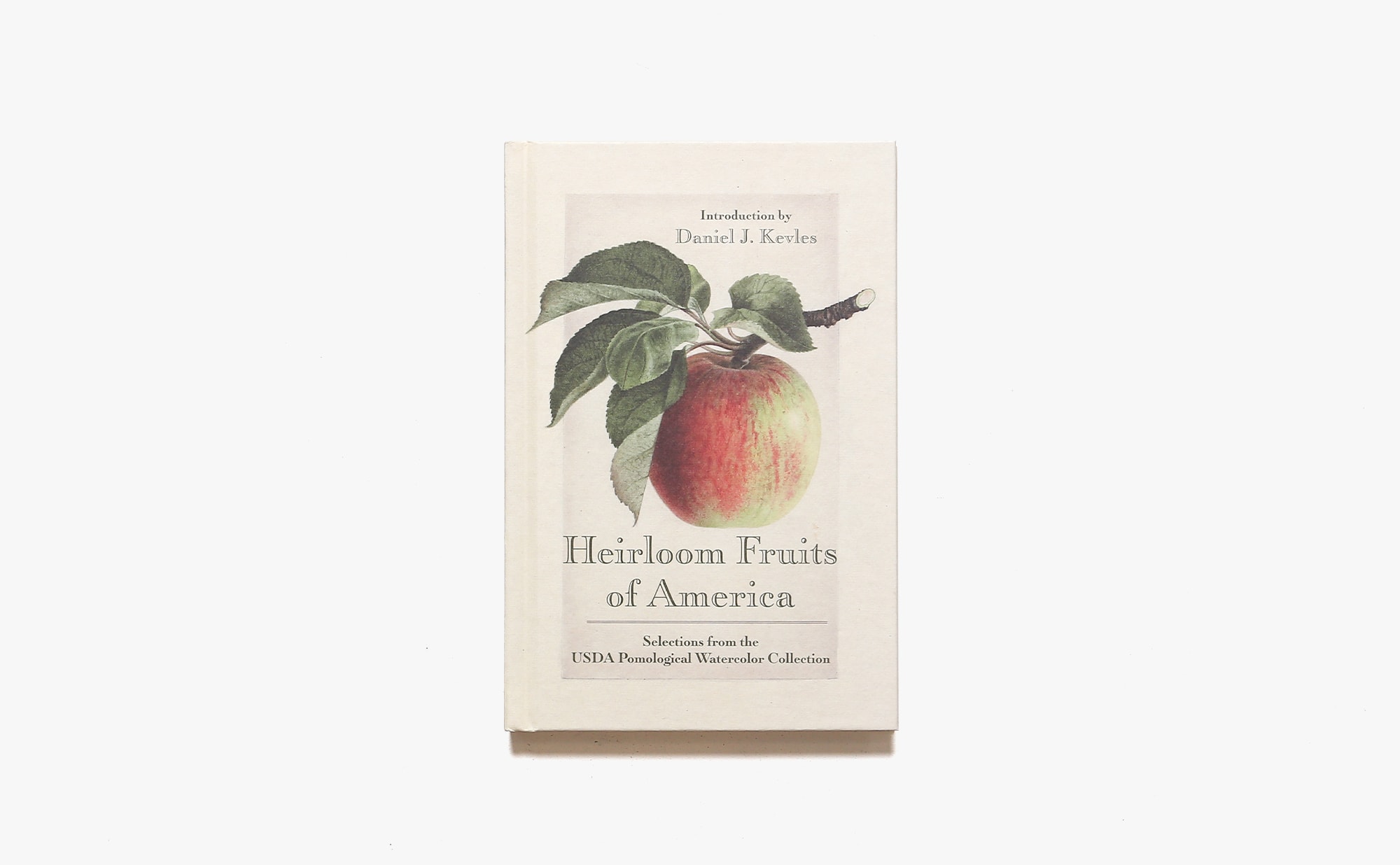 Heirloom Fruits of America: Selections from the USDA Watercolor Pomological Collection
