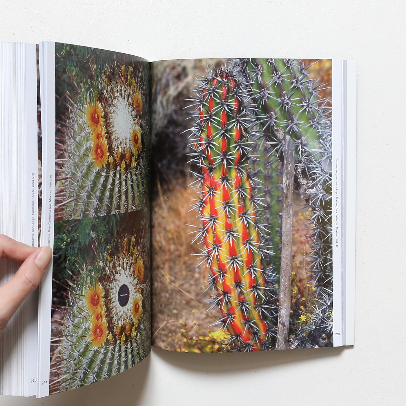 Xerophile: Cactus Photographs from Expeditions of the Obsessed Revised  Edition