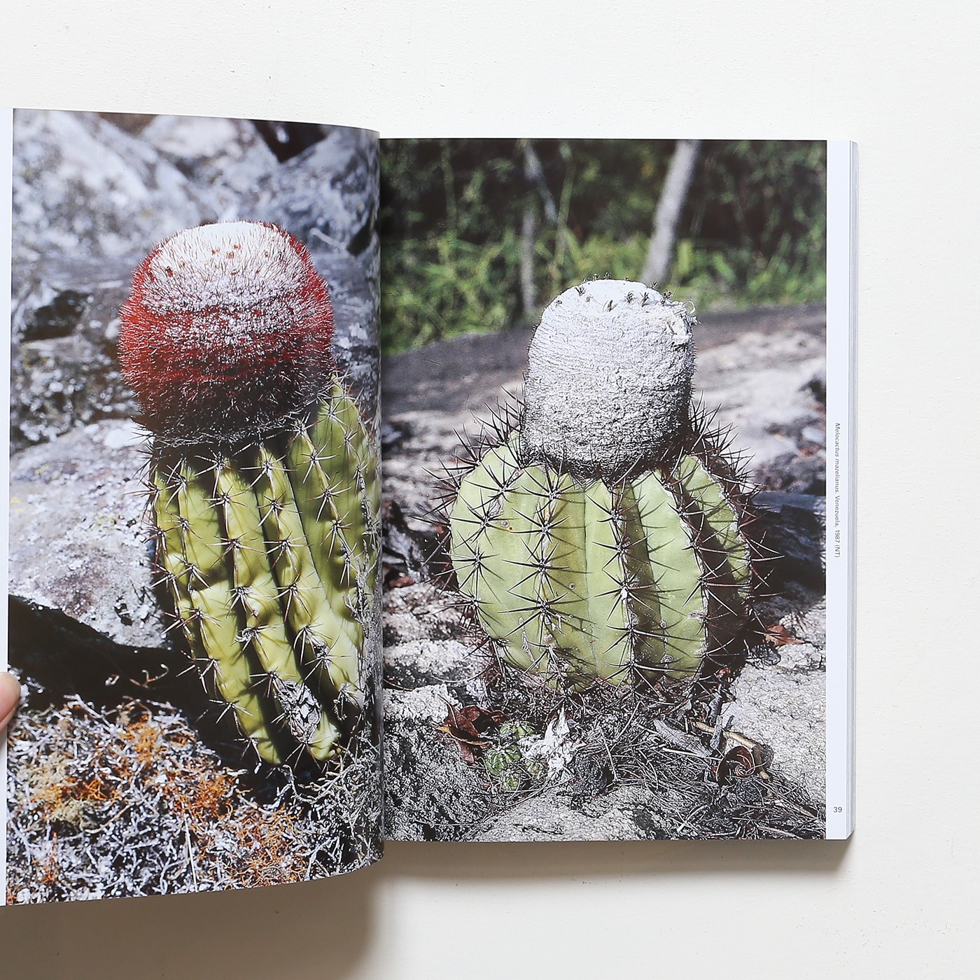 Xerophile: Cactus Photographs from Expeditions of the Obsessed Revised  Edition