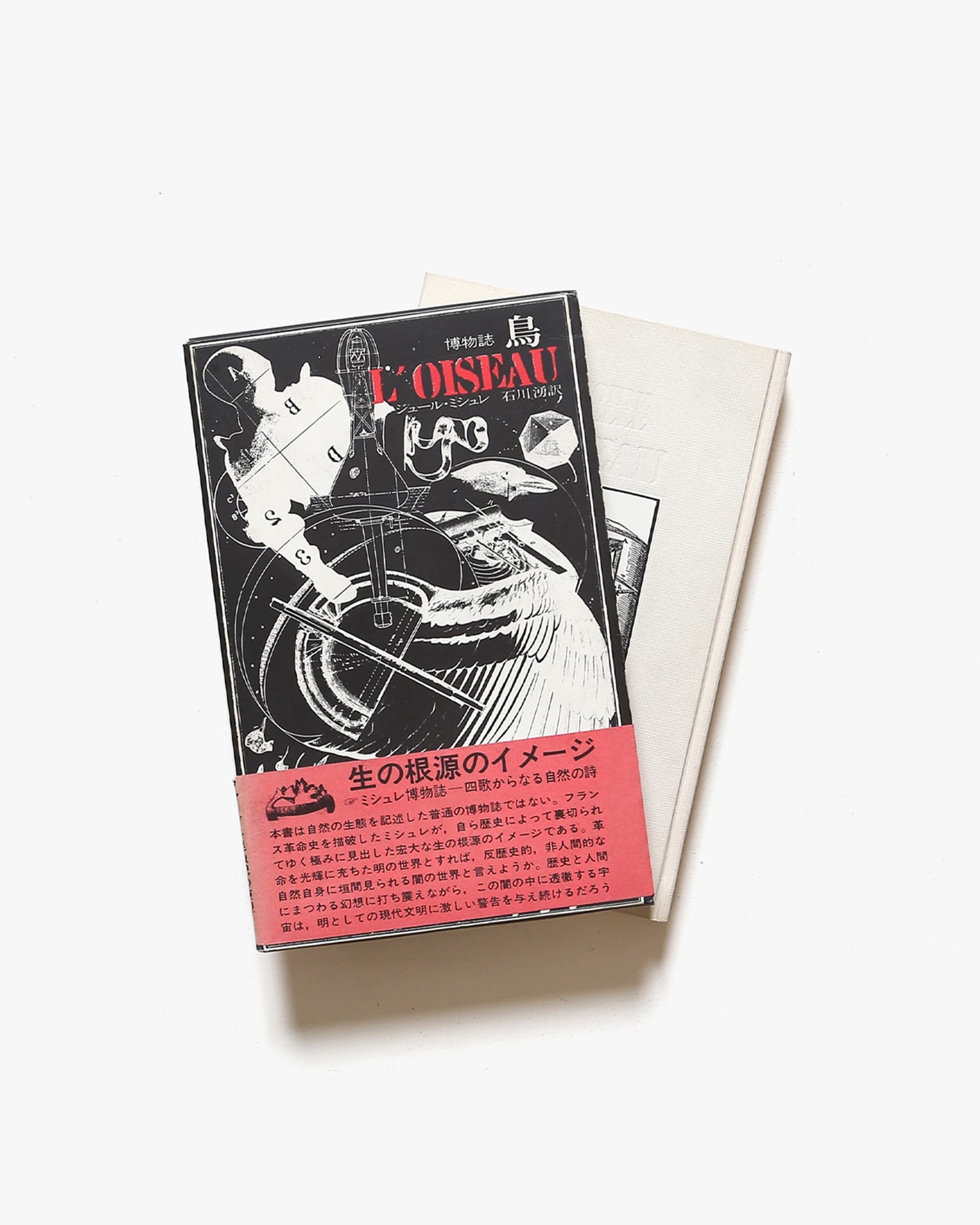 博物誌鳥/筑摩書房/ジュール・ミシュレ