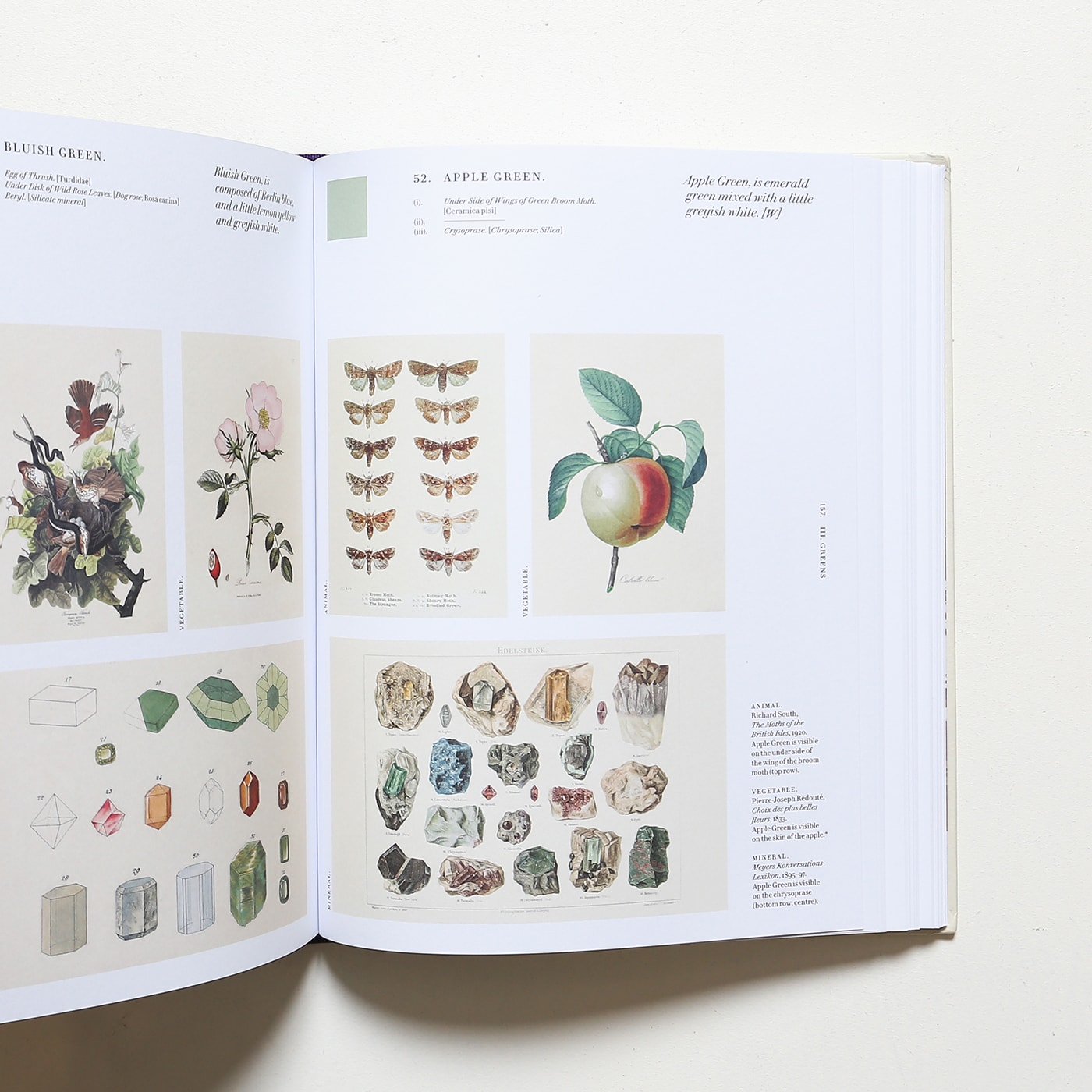 Nature's Palette: A Color Reference System from the Natural World
