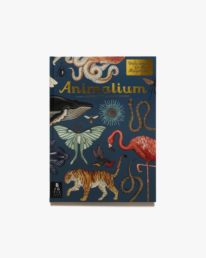 Animalium: Welcome to the Museum | Jenny Broom