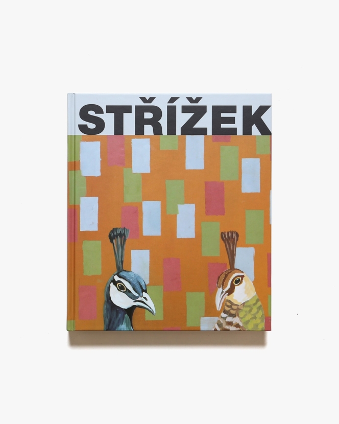 Antonin Strizek: Paintings | アントニン・シュトジージェク画集