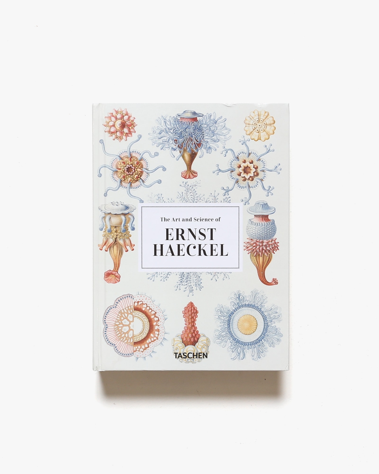 The Art and Science of Ernst Haeckel | Rainer Willmann、Julia Voss