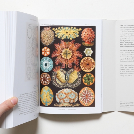 The Art and Science of Ernst Haeckel | Rainer Willmann、Julia Voss 