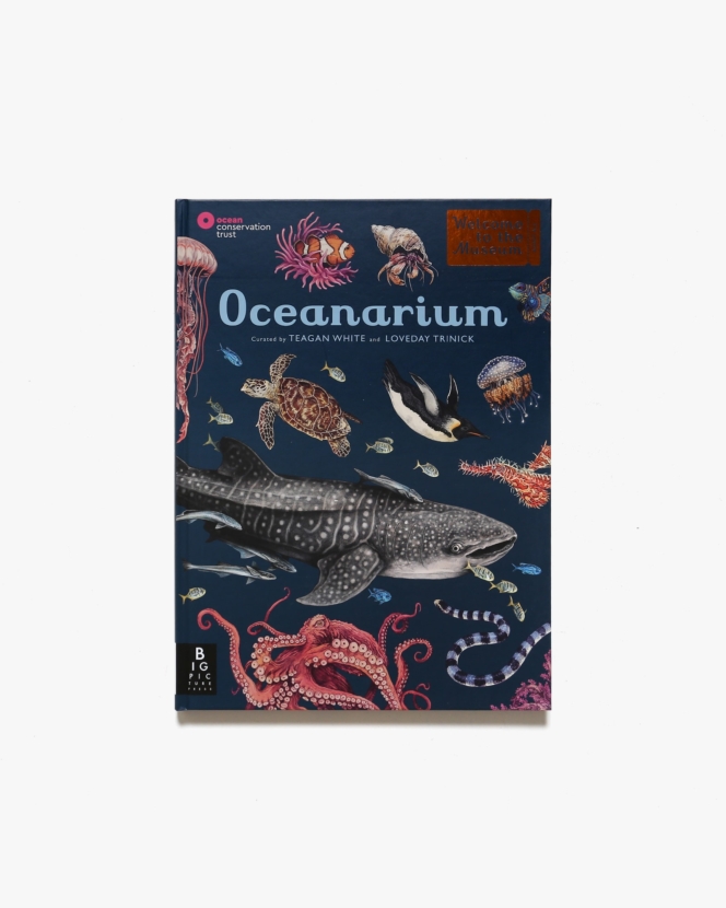 Oceanarium: Welcome to the Museum | Loveday Trinick