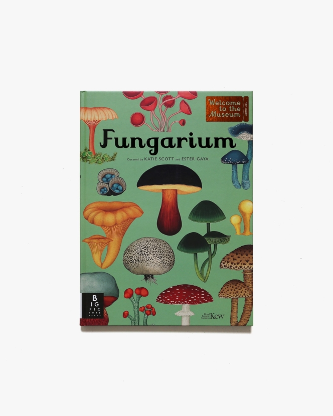 Fungarium: Welcome to the Museum | Ester Gaya