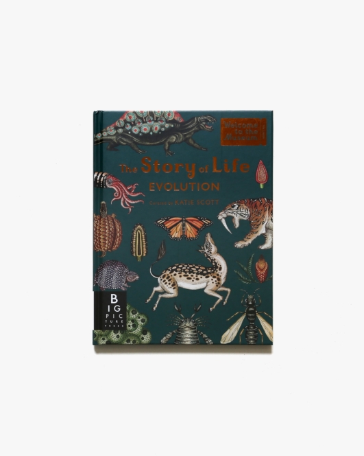 The Story of Life: Evolution | Ruth Symons