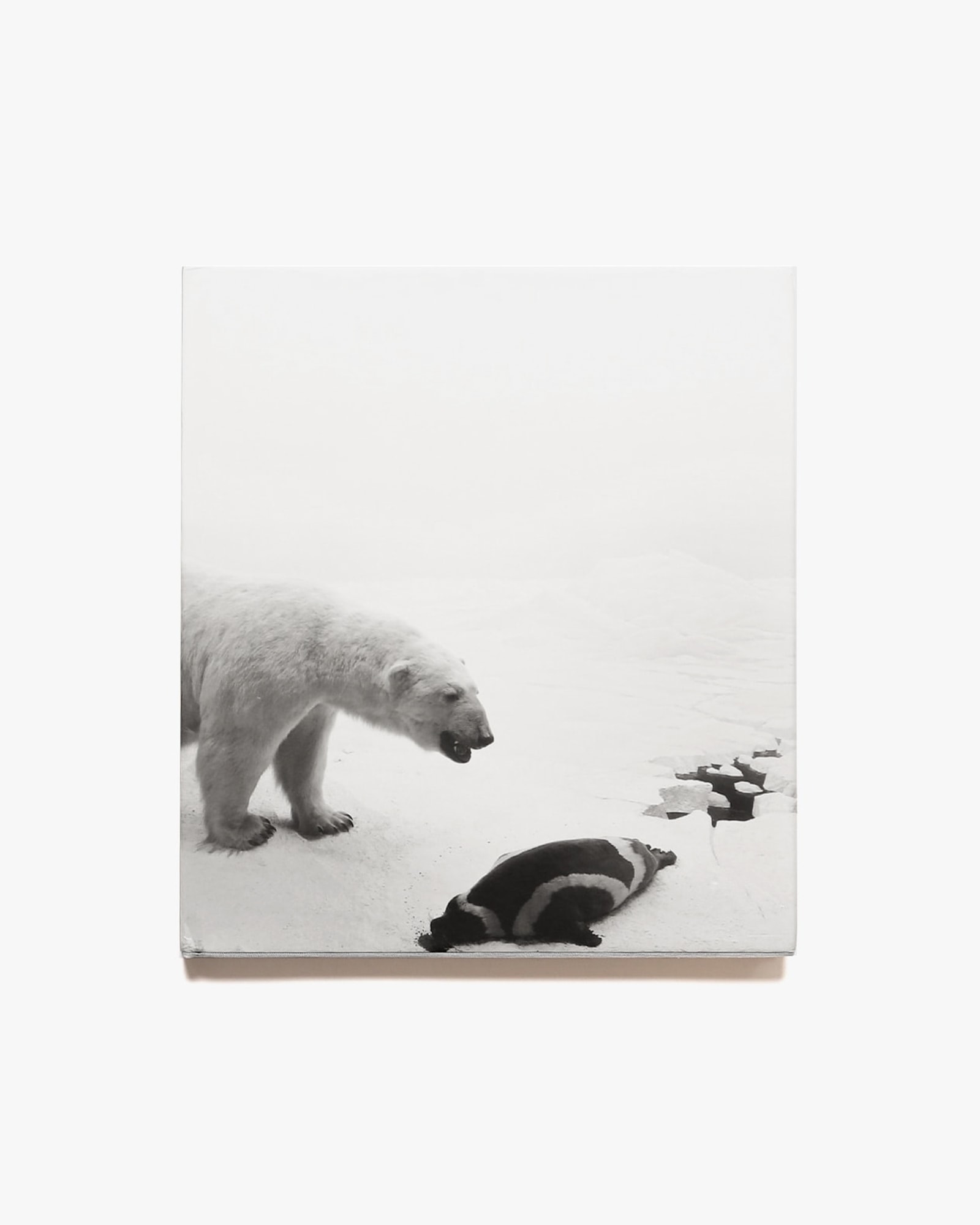 杉本博司 ポスター「POLAR BEAR」Hiroshi Sugimoto - 美術品